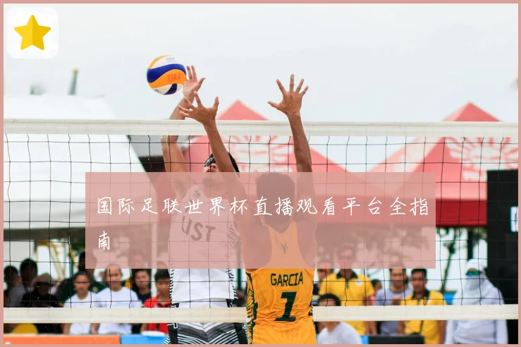 国际足联世界杯直播观看平台全指南