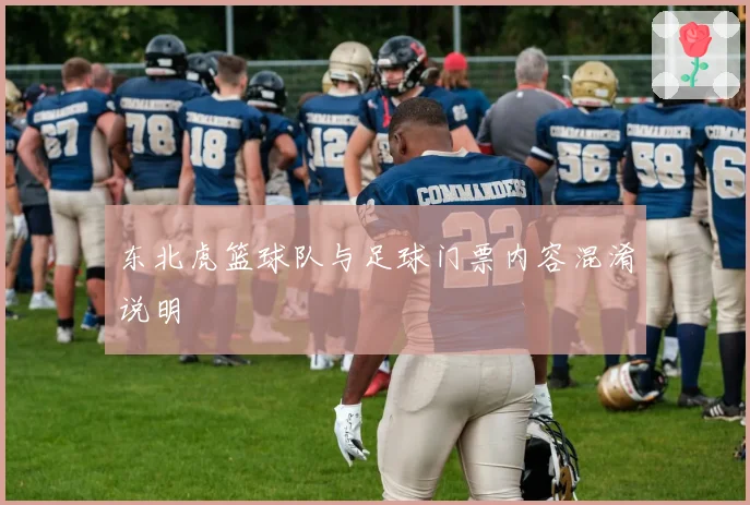 东北虎篮球队与足球门票内容混淆说明
