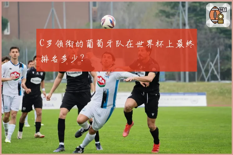 C罗领衔的葡萄牙队在世界杯上最终排名多少？